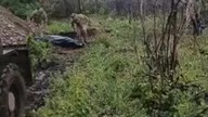 Ukraińcy chowają swoich zabitych w bezimiennych grobach