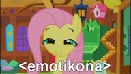 Orędzie Fluttershy