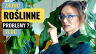 Z jakimi, roślinnymi problemami się borykam? Vlog, roslinne aktualizacje Listopad