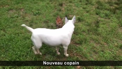 Dobra kompilacja n&deg;282