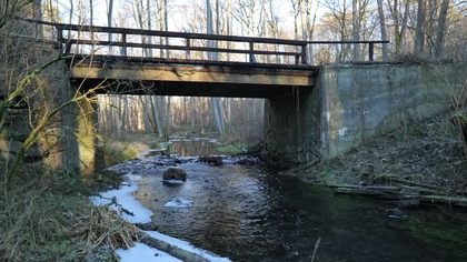 10H Forest River for Focus  Real Outdoor Water Flow