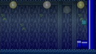 Mario Forever Unknown Area Swampertion