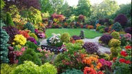 What Vegetables Can You Plant In The Autumn?  [FALL GARDENING TIPS #1]