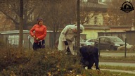 Atak serca - Wkręt