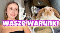 OCENIAM WARUNKI WASZYCH KRÓLIKÓW #5