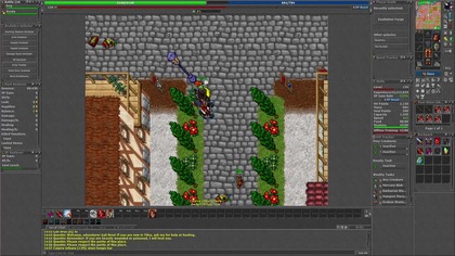  TIBIA LIVE PL: Hunt, Profit i Chill!  [139/500] [EK] | Gameplay 2025