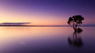 FC0D098A-1B24-4E21-8AD7-129C74BD5D36(1) Merge(1)