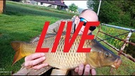 JEST PIĘKNIE - LIVE