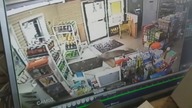 LiveLeak - Deer busts into convenience store
