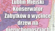 Lublin: Miejski Konserwator Zabytków o wycince drzew na nieruchomościach zabytkowych