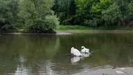 Luzie tak nie chcą postępować