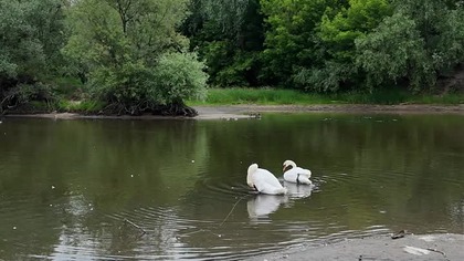 Luzie tak nie chcą postępować
