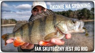 OKONIE NA SPINNING // jak skuteczny jest JIG RIG