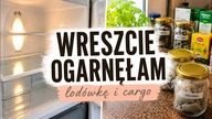 Lodówka i cargo - czas na reset 