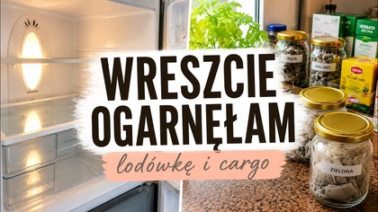 Lodówka i cargo - czas na reset 
