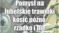 Pomysł na lubelskie trawniki: kosić późno, rzadko i nie wszędzie