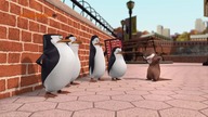 Pingwiny z Madagaskaru - SE01E13 Ni Wydra, Ni...  - Kici Kici