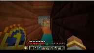 The golem looks out the window like my cat #minecraft #game #gaming #irongolem #Short #Shorts