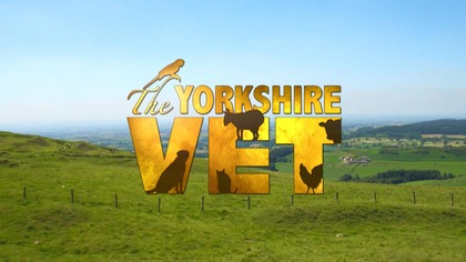 Weterynarz z Yorkshire 10 (2019)