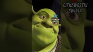 KIM został zainspirowany Shrek ?