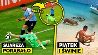 CO TEN SUAREZ! COŚ BRAŁ CZY CO?! XD Krzysztof Piątek na PLAŻY ZE ŚWINIAMI!