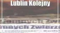 Lublin: Kolejny Dzień Otwarty w Schronisku dla Bezdomnych Zwierząt