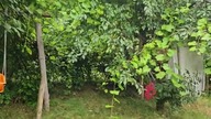 Pszenica, ślimaki, i zawistne wieśniaki