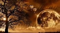 Kansas - Carry On My Wayward Son (Tekst)