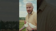Pomagaj zwierzętom w kilka sekund