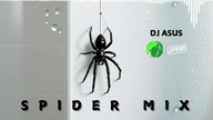  SPIDER MIX 2025  NAJLEPSZA MUZYKA KLUBOWA & VIXA PIXA  DJ ASUS & DJ Lapifors & DJ GR33N WOLF