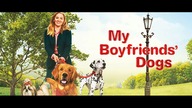 Moje pieskie szczęście (2014) [Lektor PL] - My Boyfriends Dogs