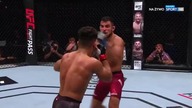 UFC Fight Night 140 pl