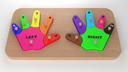 Wooden Colorful Hands and Fingers Toys