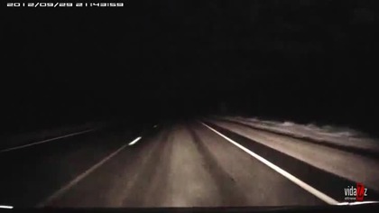 Bliskie spotkanie z niedźwiedźiem