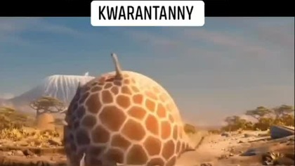Po 3 miesiącach kwarantanny ale kot na strychu najlepszy