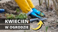 Co trzeba zrobić w KWIETNIU w ogrodzie? Weekend na działce, prace w ogrodzie