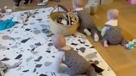kids and cats