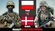 Polska vs Dania 2024 | Porównanie siły militarnej #militarypower