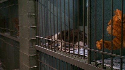 Garfield [2004] [PL. Dub]