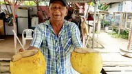 THE COUNTRY ONLY FEW KNOW ABOUT! Welcome to Suriname 