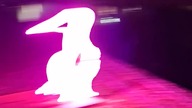 Neonowe łabędzie na święta  #neon #łabędzie #vlogmas #christmas #shorts