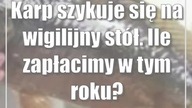 Karp szykuje się na wigilijny stół.  Ile zapłacimy w tym roku?