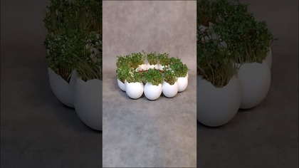 STROIK WIELKANOCNY Z RZEŻUCHĄ z kanału @diy_art_ideas #shorts #diy #wianki