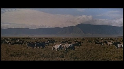 Kobieta prehistoryczna 1967 napisy pl Przygodowy