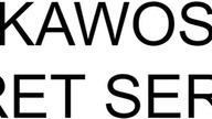 10 CIEKAWOSTEK O SECRET SERVICE