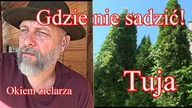 Gdzie nie sadzić tui! Okiem zielarza sadownika.