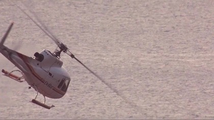 Year of the Comet.  Rok komety.  (1992) lektor