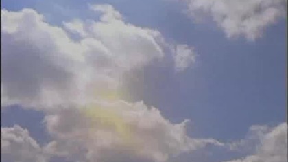 Lapicz Mały Szewczyk