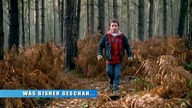 Primeval. S01E06.pl. DVDRip. XViD