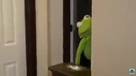 Kermit na ....